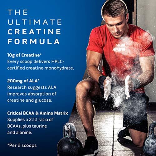 MuscleTech Creatine Monohydrate Powder MuscleTech Cell-Tech Creatine Powder Post Workout Recovery Drink Muscle Builder for Men & Women Musclebuilding Supplements Tropical Citrus Punch, 3 lbs (27 Serv)