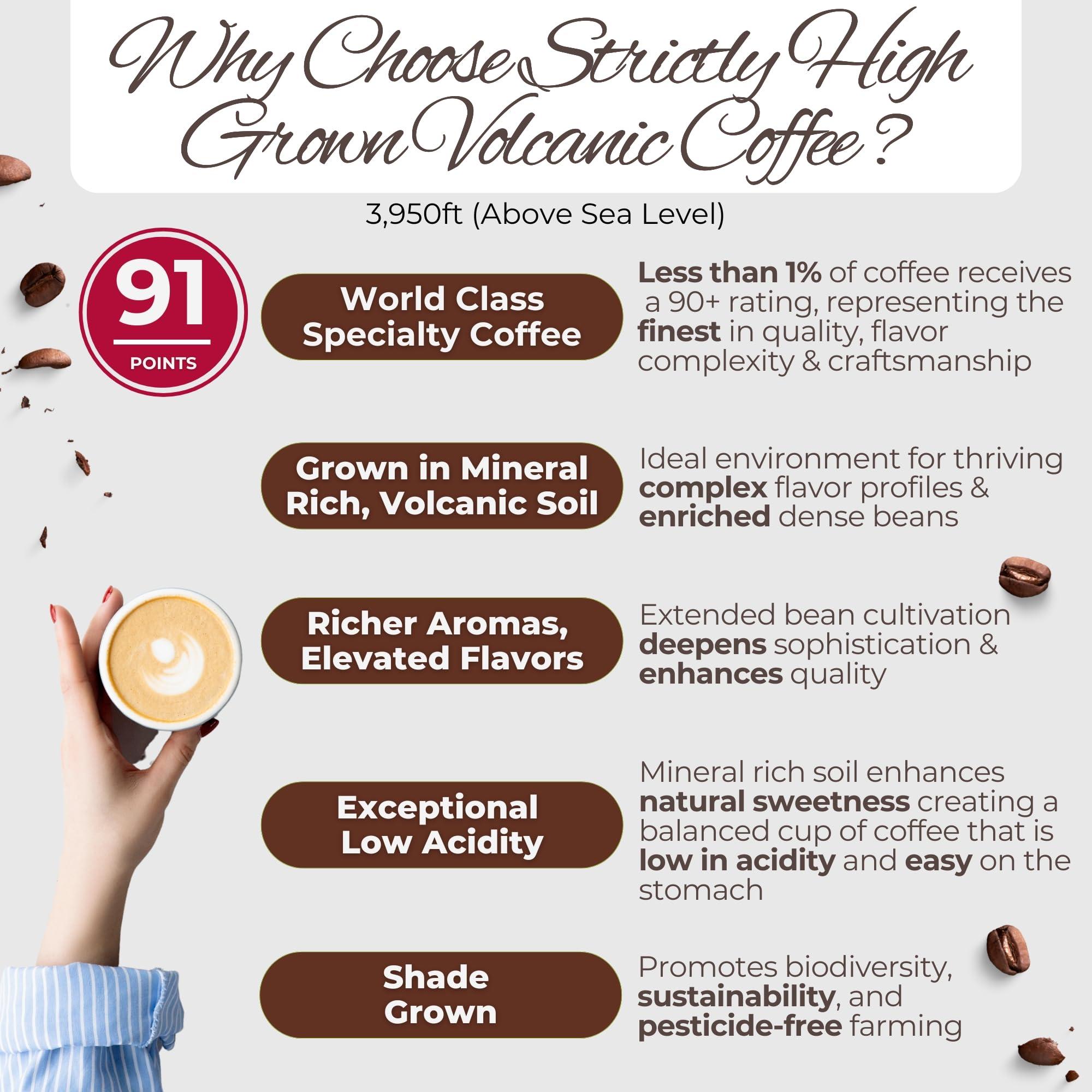 Santa Lucia Estate Coffee Santa Lucia Nicaraguan Specialty Coffee - Vienna Roast 3 Pounds (3-16oz Bags, Ground)