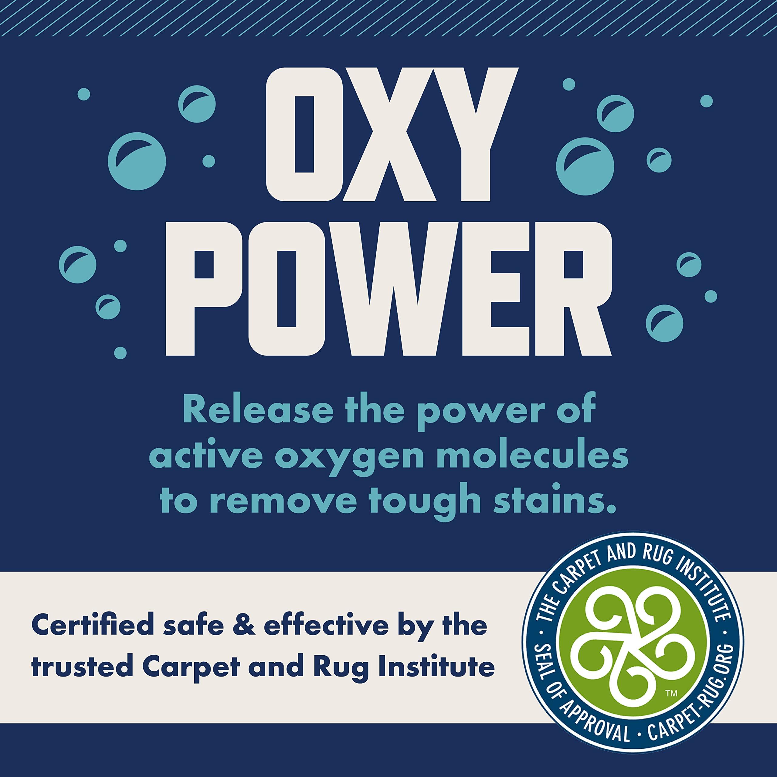 Rocco & Roxie Supply Co. Rocco & Roxie Pet Stain & Odor Carpet Cleaning Bundle