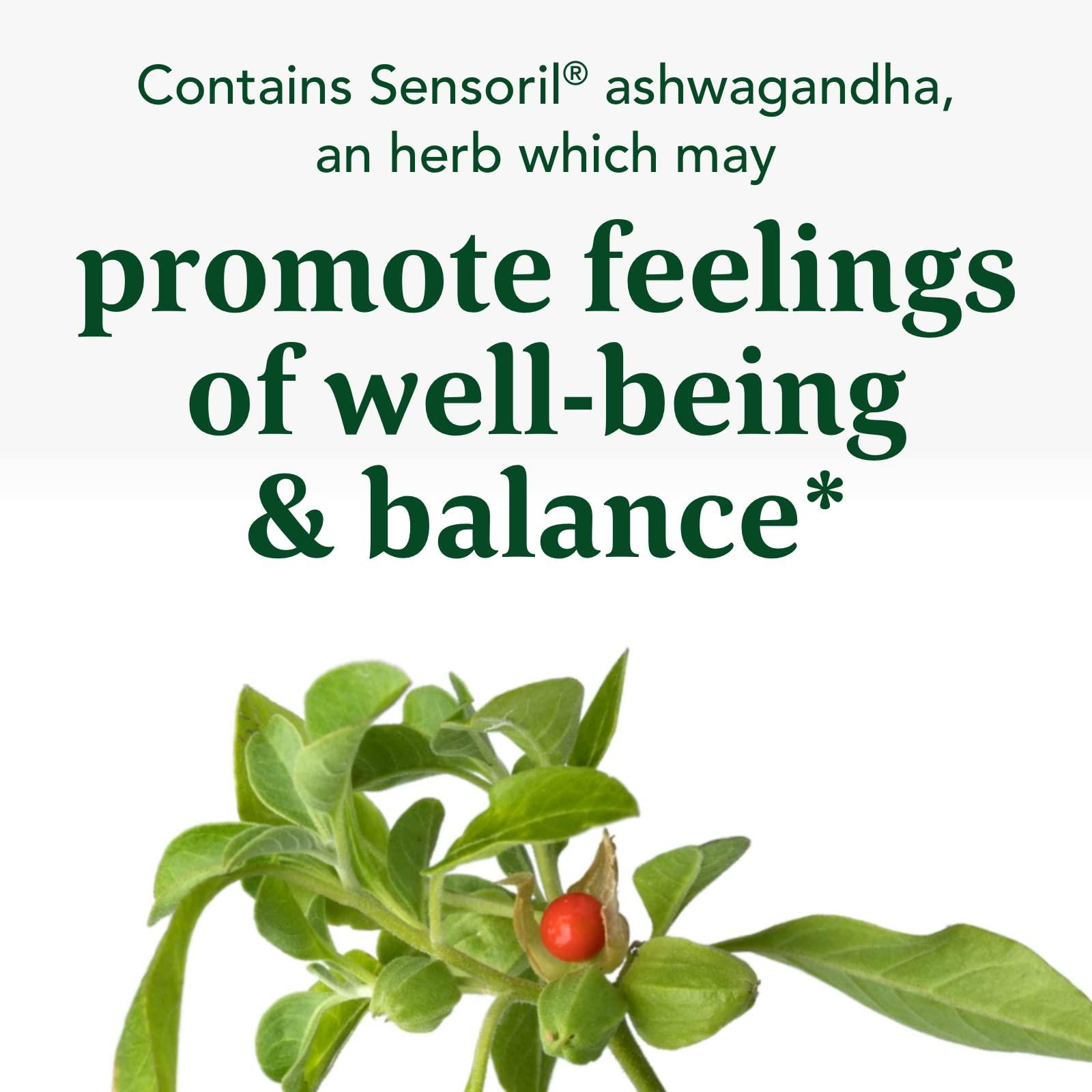 MegaFood MegaFood Adrenal Strength - Sensoril Ashwagandha, Vitamin C, fermented Magnesium Glycinate, Rhodiola Rosea, Reishi Mushroom & Food Blend - Supports a Normal Stress Response - 90 Tabs (45 Servings)