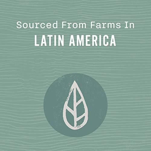 Allegro Coffee Allegro Coffee Decaf Organic French Roast Ground Coffee, 12 oz (Pack of 1)