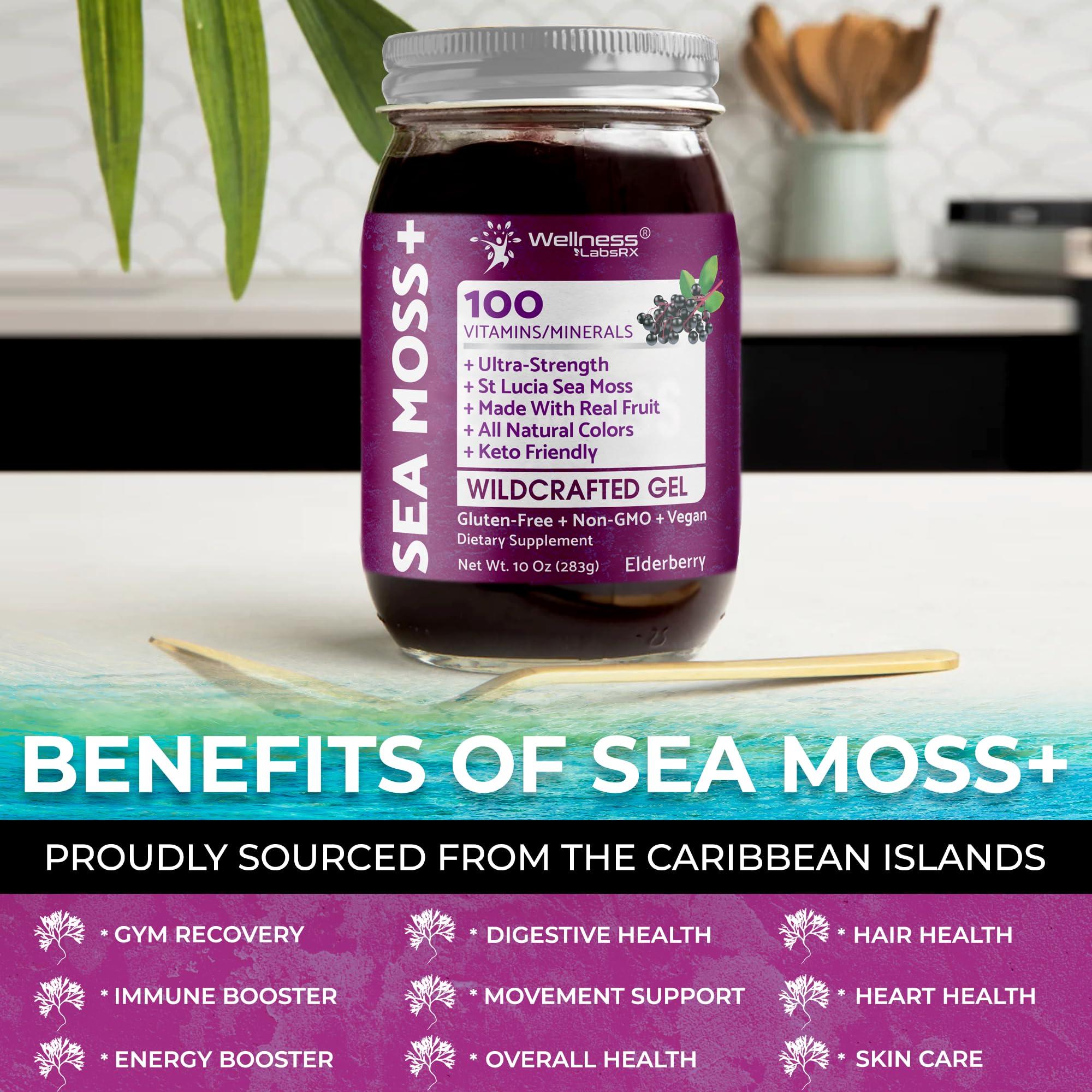 WELLNESS LABSRX Irish Sea Moss Gel Organic Raw - Wildcrafted Superfood Seamoss Gel - Elderberry Flavor, Vitamin and Mineral-Rich from Pristine Caribbean Waters, Immune and Digestive Health Support - 10 oz.