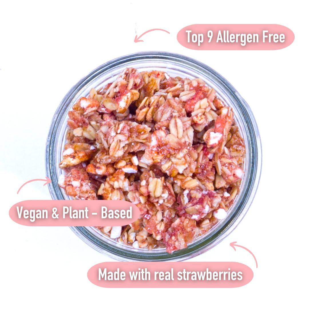 The Safe + Fair Food Company Safe + Fair Strawberry Shortcake Granola Gluten-Free, Dairy-Free & Vegan Snack Allergen-Free, Non-GMO, and No Artificial Ingredients - 12oz