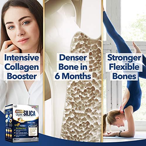 LABO Nutrition LABO Nutrition Bioactive Silica, 99% Purity Rice-Derived Silica with 42mg Silicon Per Serving, Intensive Collagen Generator, Strengthen Joint & Bone, for Skin, Hair & Nails Support. 30sx3