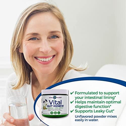 Vital Planet Vital Planet - Vital Gut Renew Powder Supplement for Leaky Gut Repair with L-Glutamine, Marshmallow and Ginger Root, DGL Licorice Root and Organic Aloe Vera, L Glutamine 6000mg 6.88 oz