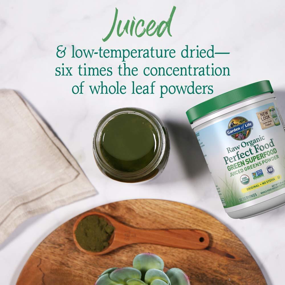 Garden of Life Garden of Life Raw Organic Perfect Food Green Superfood Juiced Greens Powder - Original Stevia-Free & Organic Vegan Vanilla Protein Powder 22g