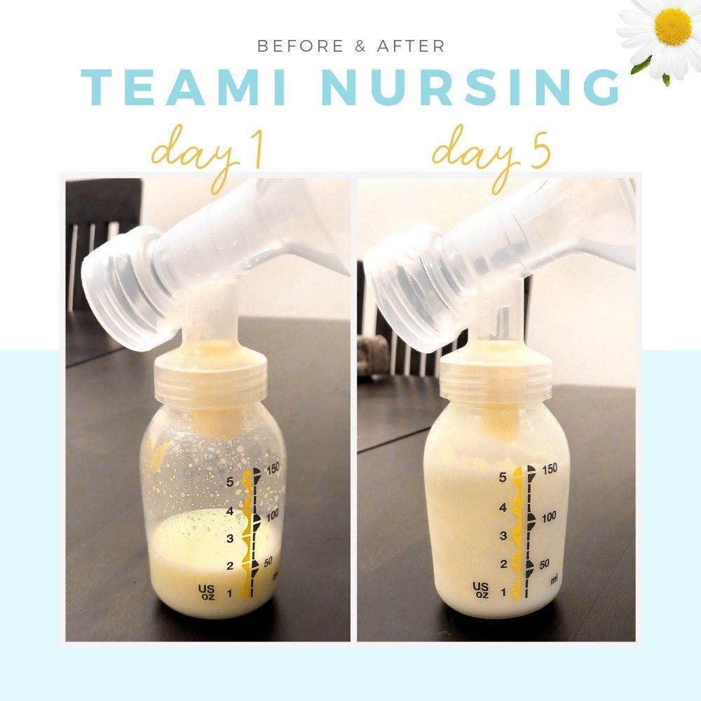 Teami Teami Tea Collection (Nursing Tea)