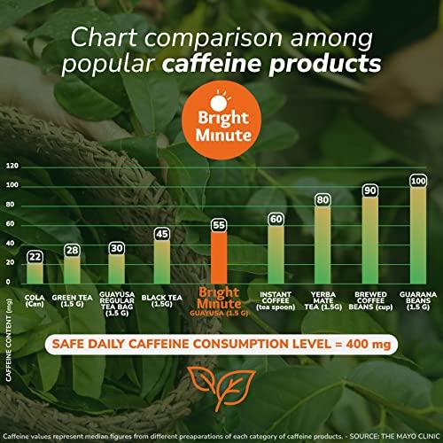 BRIGHT MINUTE Bright Minute Guayusa infusion 50 teabags | Coffee Alternative & Addition | 55mg of natural caffeine per small 1.5G (0.05OZ) bag, Calm and Wakeful Energy Boost!