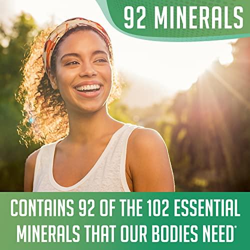 XPRS Nutra XPRS Nutra Irish Sea Moss Powder (Chondracanthus Chamissoi) - Premium Wildcrafted Seamoss Powder for Glowing Skin - Total Body Health Sea Moss Drink Powder - Vegan Friendly Irish Moss Powder (4 oz)