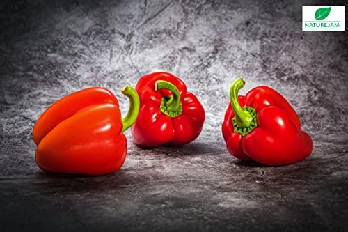 Naturejam Red BELL Peppers 1 Pound Bulk Bag-Heat Sealed to Maintain Freshness-Crushed & Dried Spice Seasoning