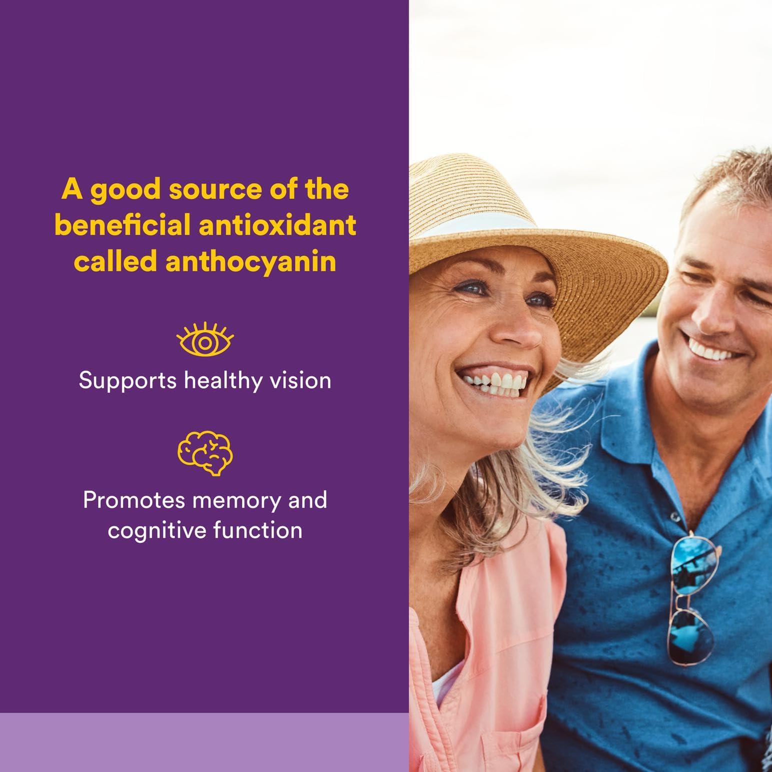 Natural Factors BlueRich by Natural Factors, Super Strength Blueberry Concentrate, Antioxidant Support for Overall Good Health, 90 Softgels