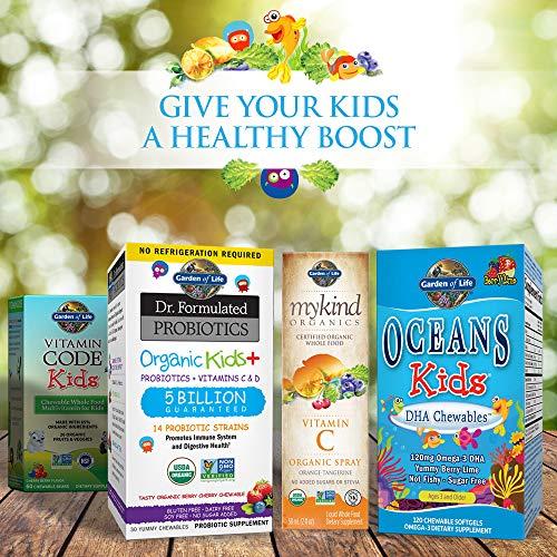 Garden of Life Garden of Life Vegetarian Multivitamin Supplement for Kids - Vitamin Code Kids Chewable Raw Whole Food Vitamin with Probiotics, 30 Chewable Bears
