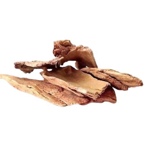 NineLife Basics 8.81oz /250g Varuna Bark Powder | Crataeva Nurvala | Varuna Powder |Varun Powder |Non GMO, Vegan