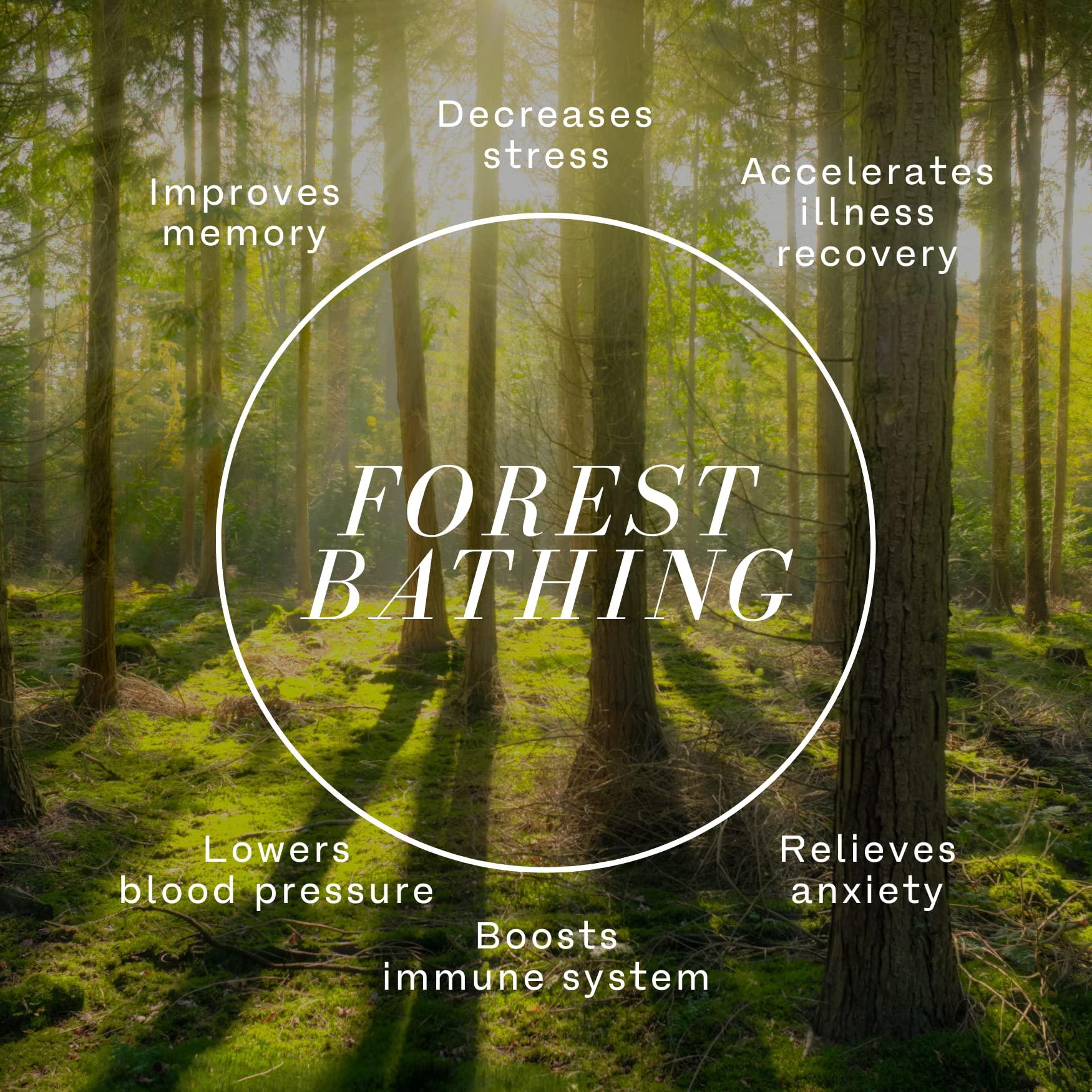 Rice-A-Roni Rice-A-Roni CREAMY FOUR CHEESE Flavor 6.4oz (8 pack)