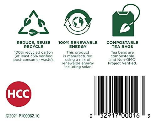 Traditional Medicinals Traditional Medicinals Organic Herbal Cold Care Elderflower Spice Herbal Tea, Warm & Comforting Seasonal Wellness, 48 Tea Bags Total (Pack of 3)