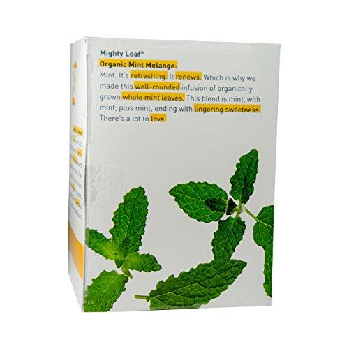 Mighty Leaf Tea Mighty Leaf Whole Leaf Tea, Organic Mint Melange, 15 Tea Bags Individual Pyramid-Style Tea Sachets of Uncaffeinated Organic Mint Tea, Delicious Hot or Iced, Sweetened or Plain