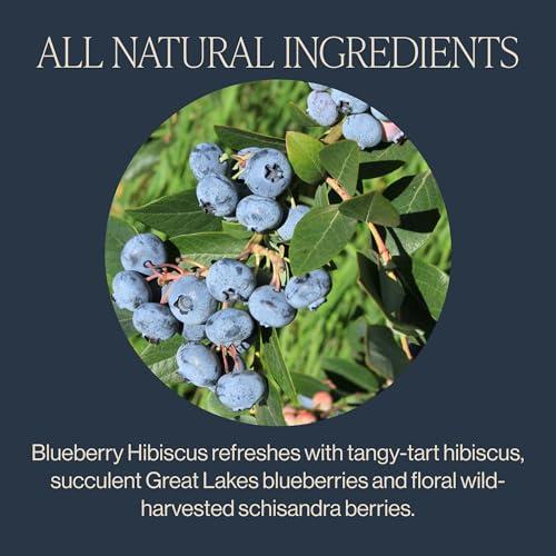 Rishi Tea Rishi Tea Blueberry Hibiscus & Elderberry Healer Herbal Tea - Organic Sachet Tea Bags, Caffeine Free Sleep Friendly Tea Bundle - 15 Count (Pack of 2)