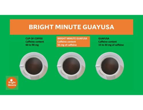 BRIGHT MINUTE Bright Minute Guayusa infusion 50 teabags | Coffee Alternative & Addition | 55mg of natural caffeine per small 1.5G (0.05OZ) bag, Calm and Wakeful Energy Boost!