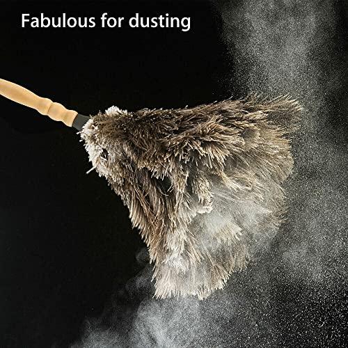 TEAMWILL TEAMWILL 2PACKS 13\" Ostrich Feather Duster Durable Dust Collecting Cleaning Tool in Wool Shop