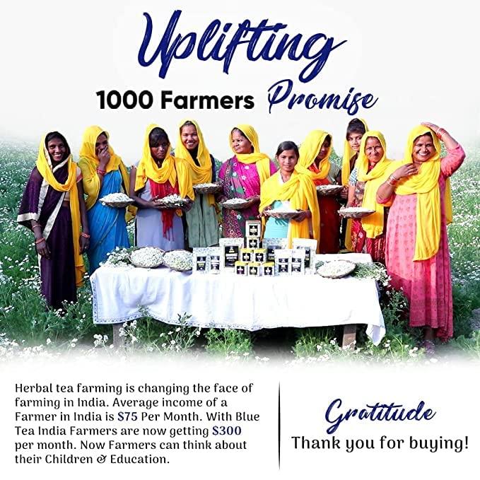 BLUE TEA BLUE TEA – Combo - Butterfly Pea Flower Tea (30 Tea Bags) + Butterfly Pea Flower Tea (15 Tea Bags) – Herbal Tea - Gluten Free – Eco-Conscious Packaging