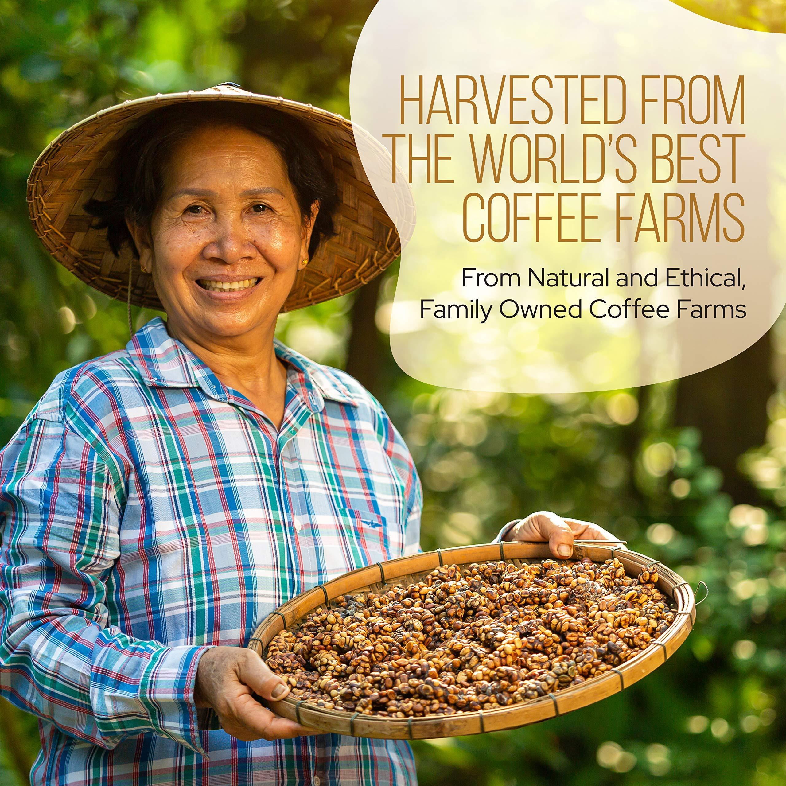 LRLA SUPERFOODS La Republica Organic Pure DECAF Instant Coffee (35 Servings), Colombian Rich Medium Roast Toasted Caramel Notes, Small Batch Shade-Grown Fair Trade Arabica Low-Acid