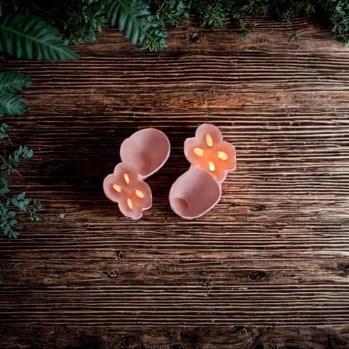 Promise Promise CloverTunes Ear Plugs for Noise Reduction,Super Soft, Reusable Hearing Protection for Concerts & Festivals, Live Events, Musicians, Sports, DJs and Nightlife,Sleep, Tinnitus Relief(Pink)