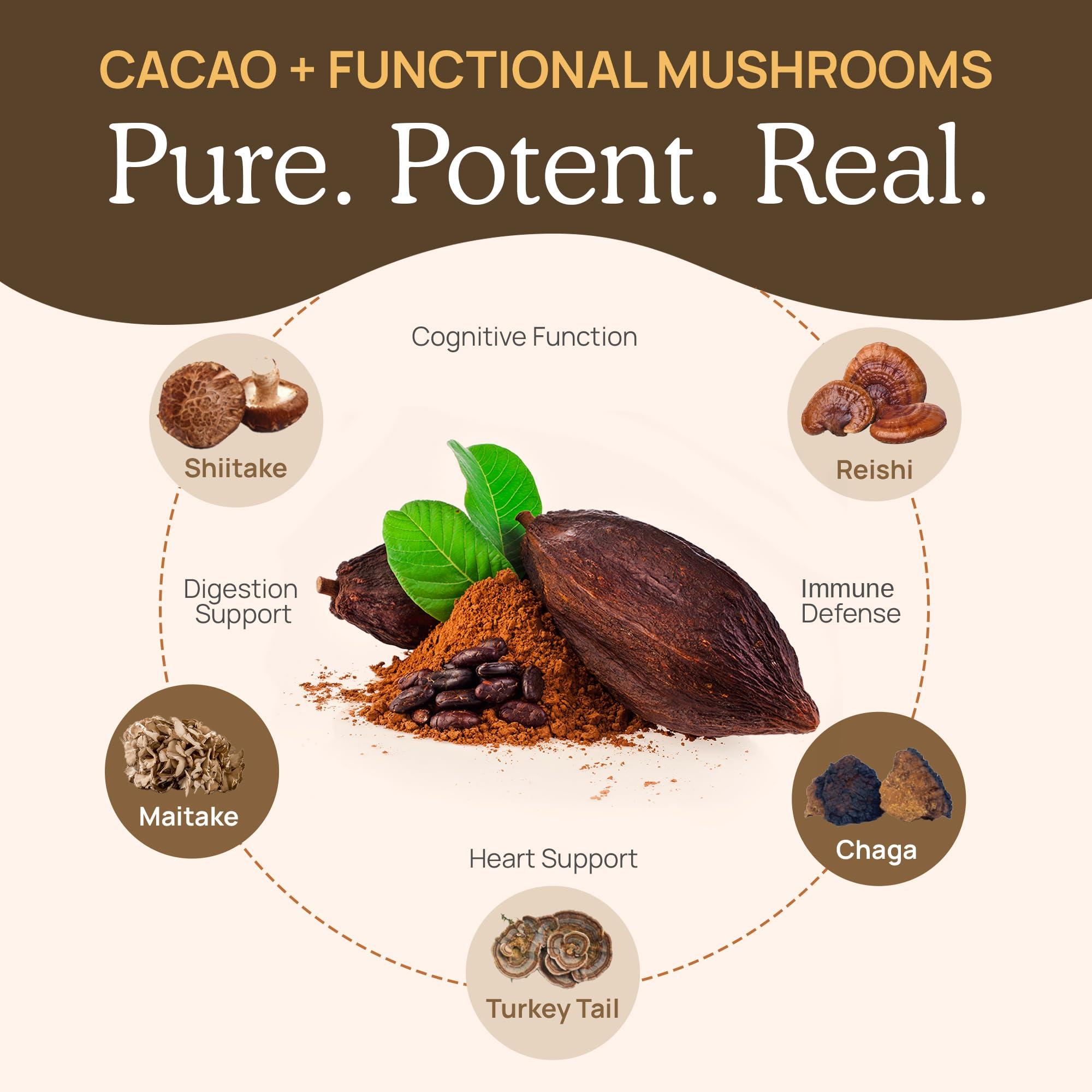 Real Mushrooms Real Mushrooms Organic Hot Chocolate Mix with 5 Defenders Turkey Tail, Chaga, Maitake, Shiitake, Reishi Mushroom - Cacao Powder Vegan Supplement, Gluten-Free, 15 Servings