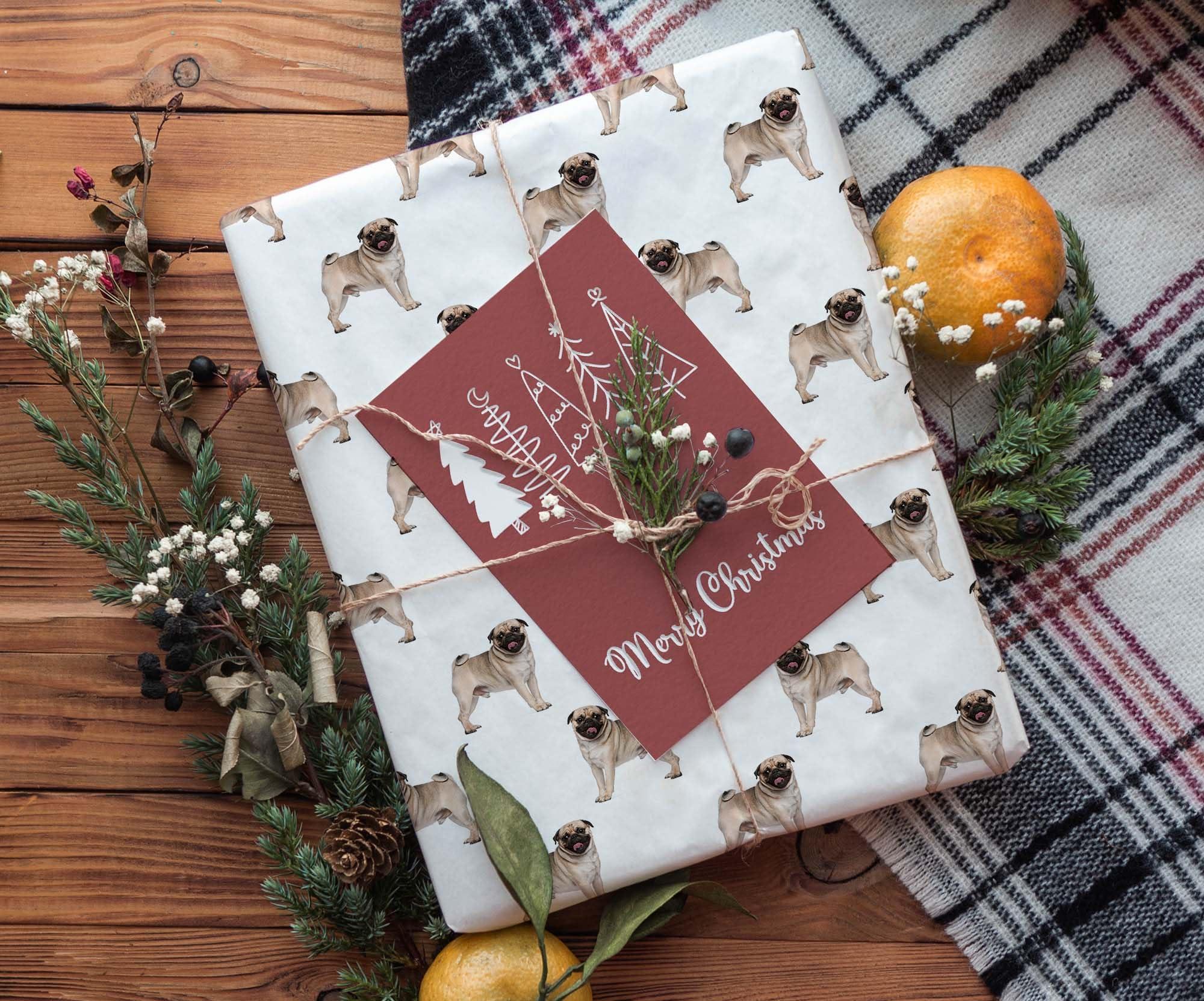 Foot Defender Foot Defender Protective Boot for Foot Wounds Designed to Offload Pressure and Help Diabetic Foot Ulcers Heal Faster (Medium)