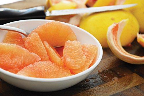 SweeterSorts Fresh Florida Red Grapefruit, 8 pieces
