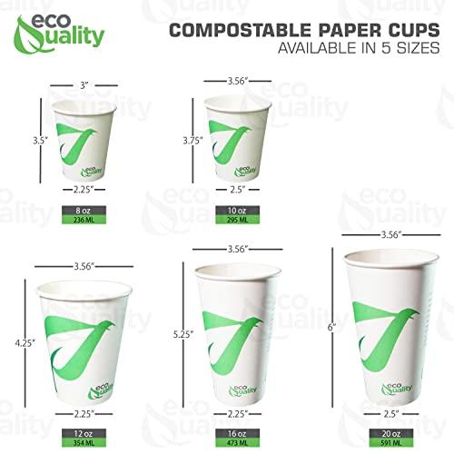 EcoQuality 8 oz Compostable Paper Cups - Biodegradable Disposable White Paper Coffee Cups PLA Lined - Eco-friendly Hot and Cold Drinking Cups for Travel, Picnic, Party and Events (300)