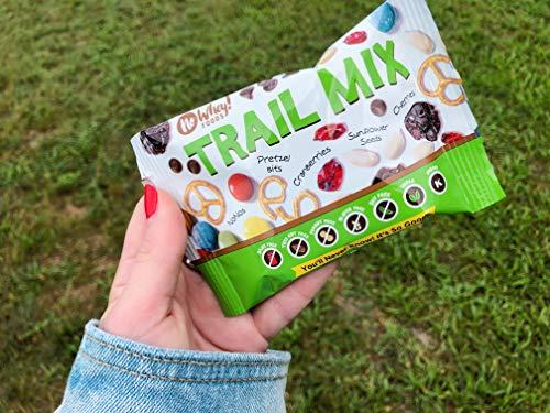 No Whey! Foods Vegan, Plant Based, Gluten Free Gourmet Chocolates | Santa\'s Truffle Collection (9 Pieces) | Dairy Free, Nut Free, Peanut Free, Soy Free | Allergy Friendly Gifts | By No Whey! Foods