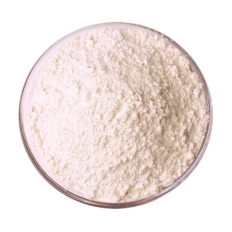 ALOHA ALOHA Organic Plant Based Protein Powder Bundle, Vanilla 19.6 oz & Chocolate 19.6 oz, 15 Servings Each