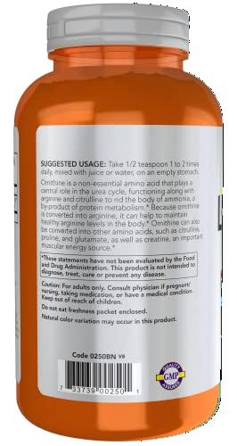 NOW NOW Sports Nutrition, L- Ornithine Powder, Protein Metabolism* and Urea Detox*, Amino Acids, 8-Ounce