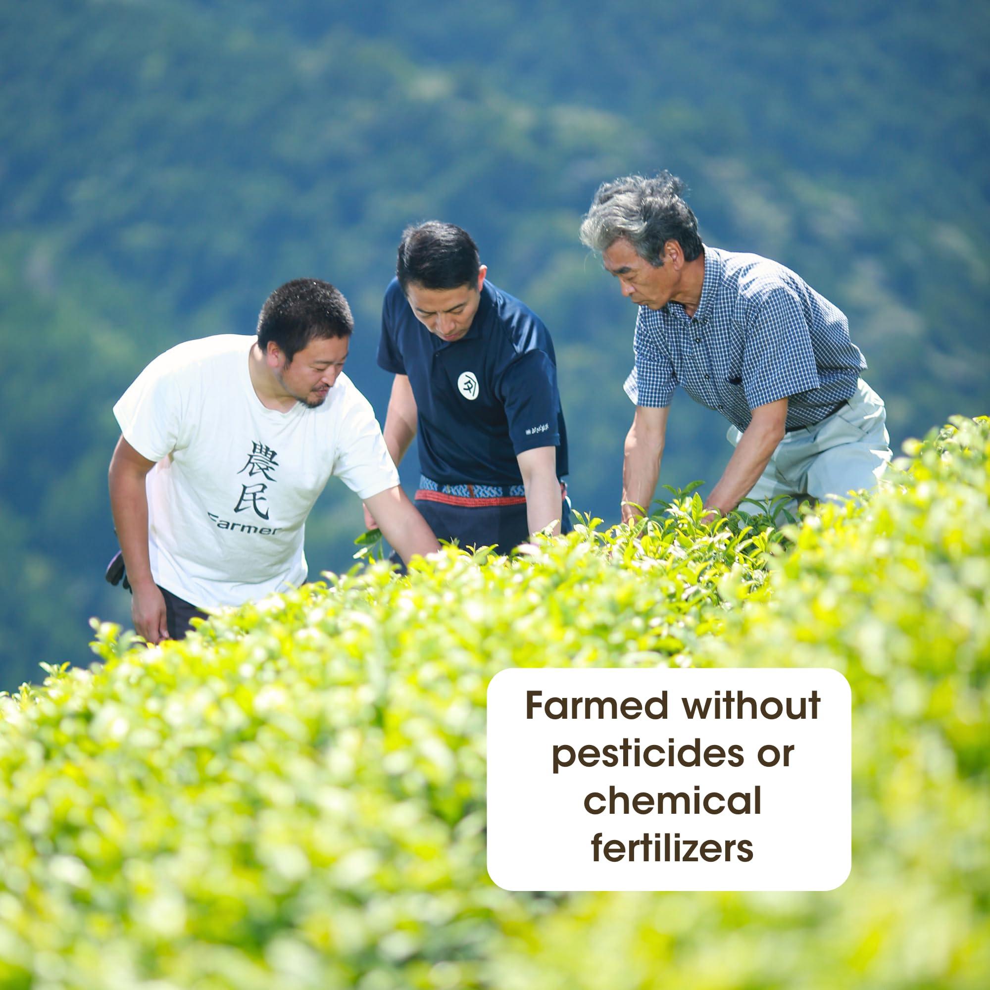 VortexBoost VortexBoost electric shaker bottle, protein shaker mixer, USB Rechargeable Mixer Cup for Shakes and Meal Replacements, BPA-Free