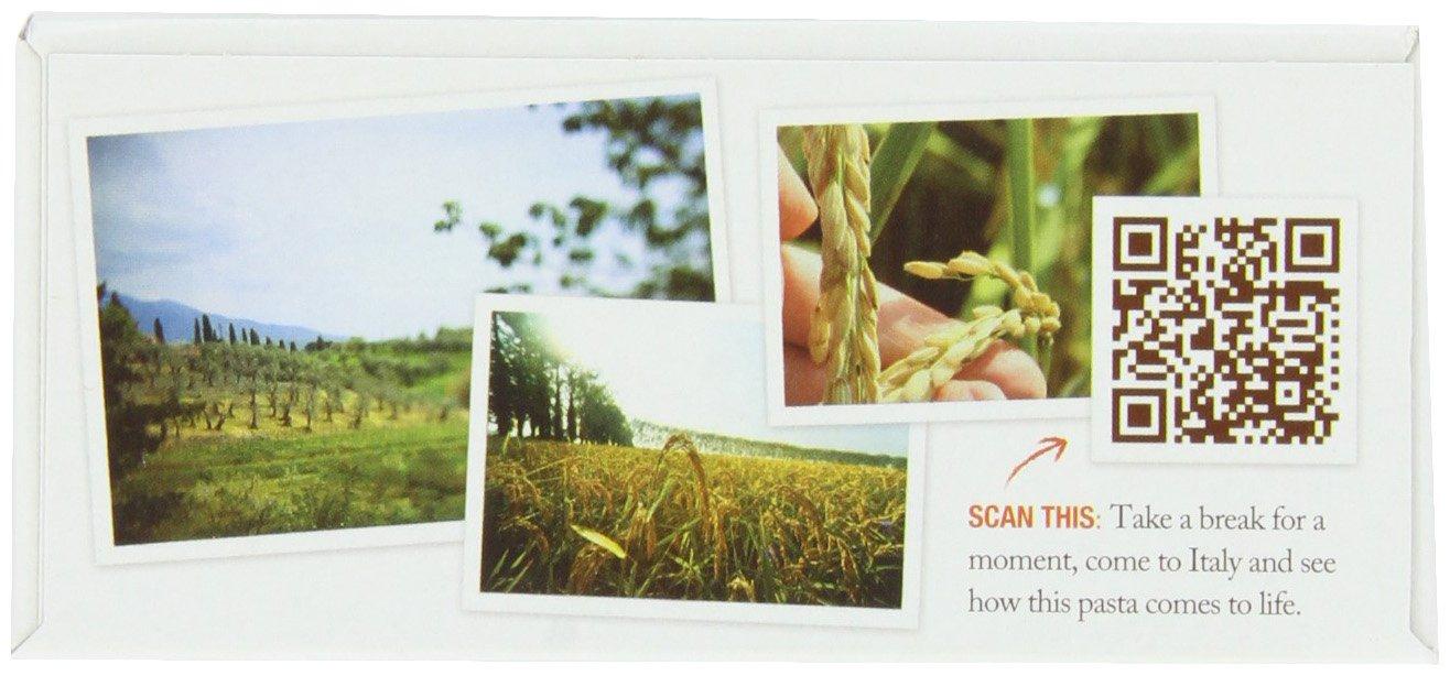 Scott's Cakes Scott's Cakes Arctic Snow Covered Dark and Cocoa Covered Dark Chocolate Truffles in a 1 Pound Heart Box