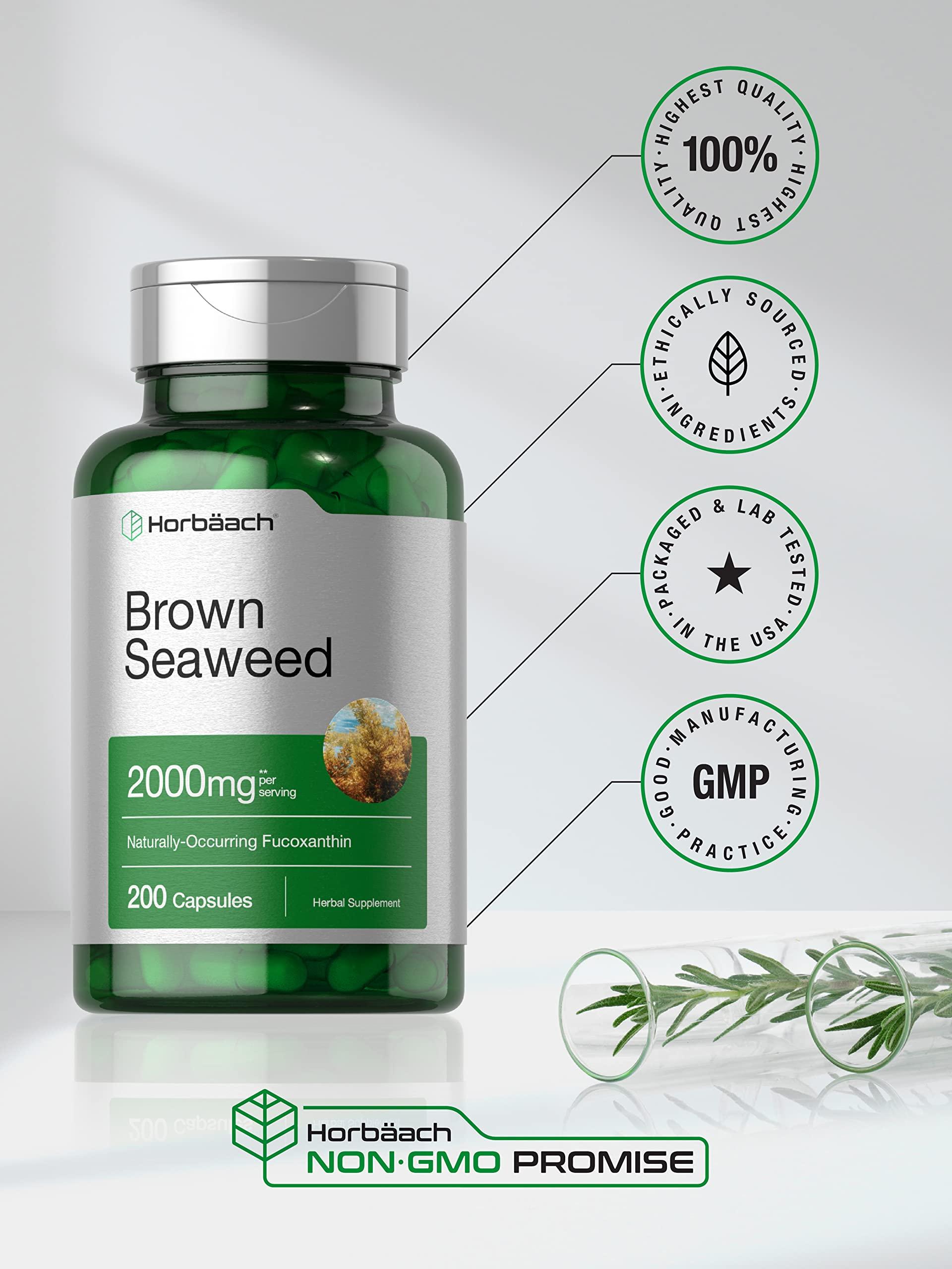 Horbach Horbach Brown Seaweed Extract Capsules 2000mg | 200 Pills | Fucoxanthin Supplement | Non-GMO, Gluten Free