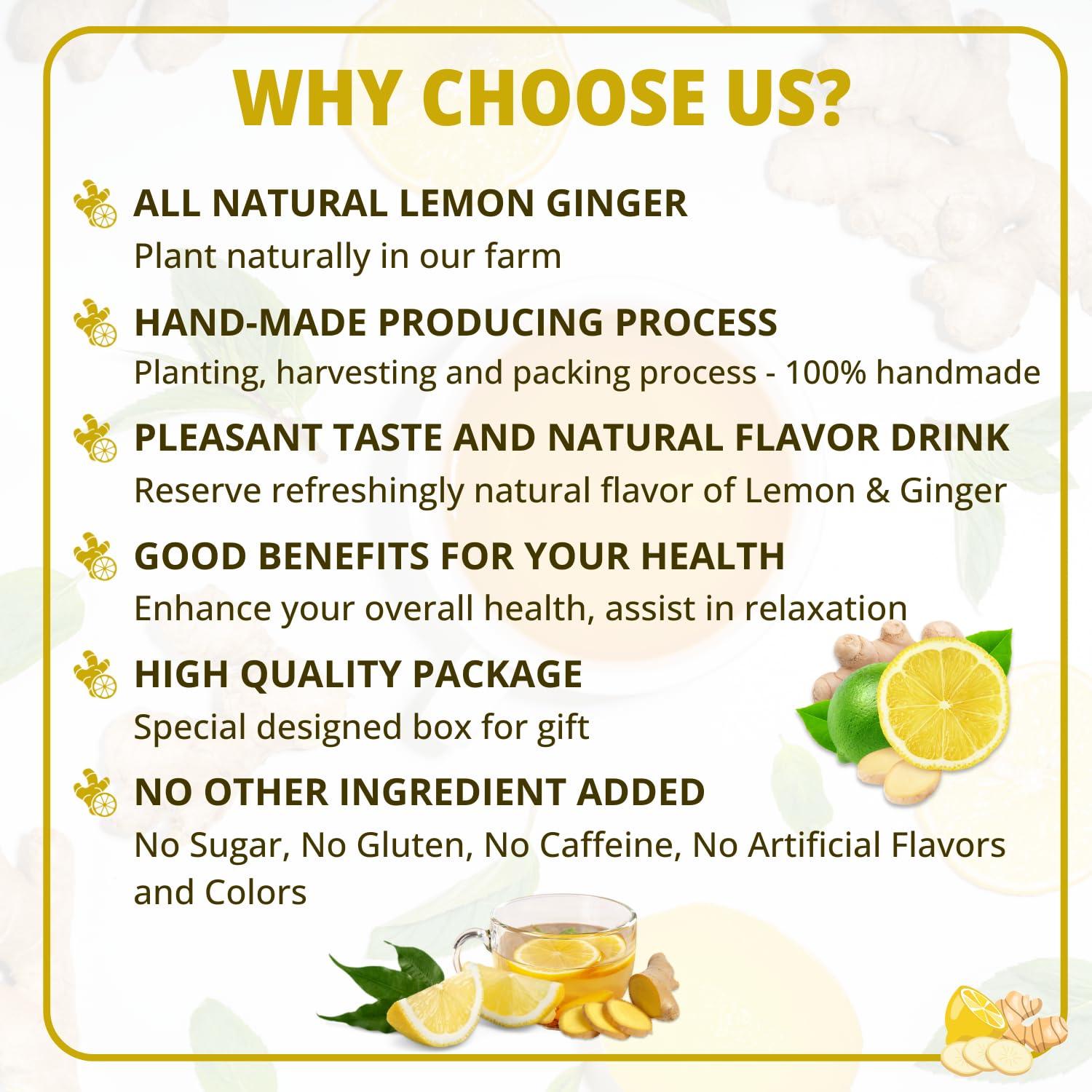 VIDA FARM VIDA FARM 100 Lemon Ginger Tea Bags, 100% Natural Ingredients - Warming & Spicy Blend, Caffeine Free, Sugar Free, Non-GMO, Lemon & Ginger Herbal Tea Beverage