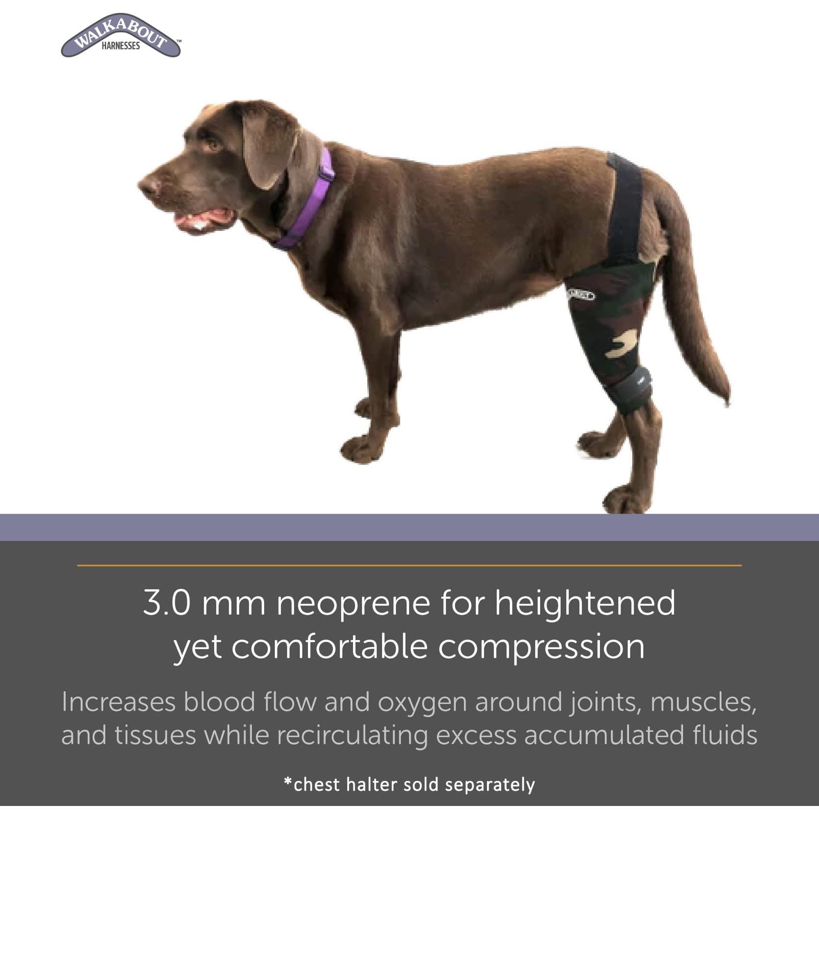 Walkabout WALKABOUT Canine Knee Brace 3.0 mm Neoprene Support Sleeve (Large 14-15\" Left Leg Circumference 1\" Above Knee)