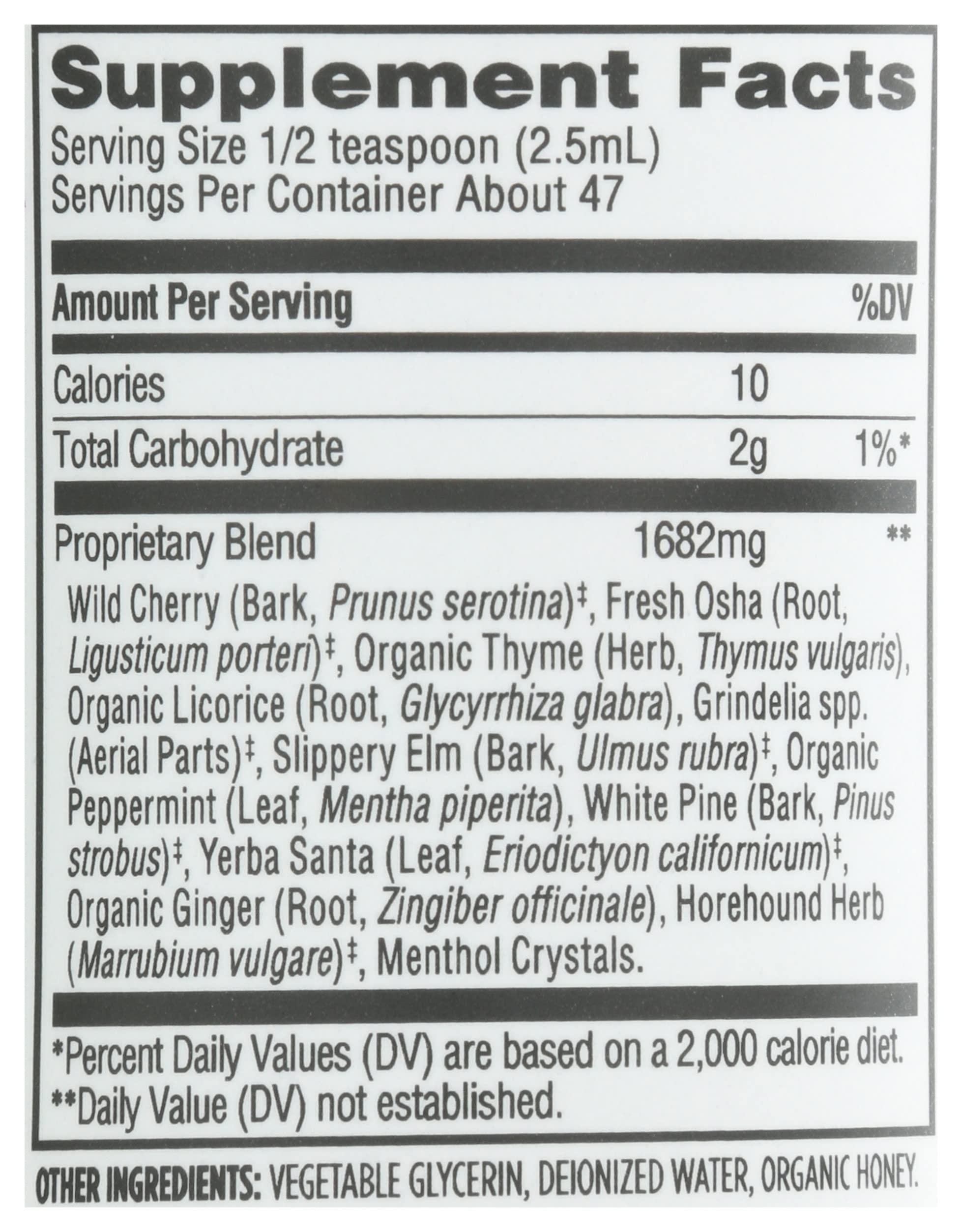 Whole Foods Market Whole Foods Market, Bronchial Syrup, 4 fl oz