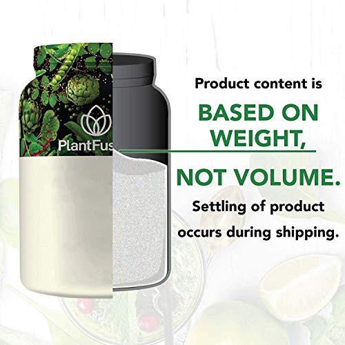 PlantFusion PlantFusion Complete Vegan Protein Powder - Plant Based Protein Powder With BCAAs, Digestive Enzymes and Pea Protein - Keto, Gluten Free, Soy Free, Non-Dairy, No Sugar, Non-GMO - Vanilla Pack of 12