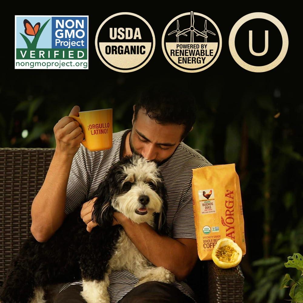 Mayorga Mayorga Organic Coffee 2lb Buenos Dias - Light Roast Whole Bean Specialty Grade Coffee, 100% Arabica, Slow Roasted, Citrusy and Sweet Flavor with Low Acidity - USDA Organic, Non-GMO, Kosher
