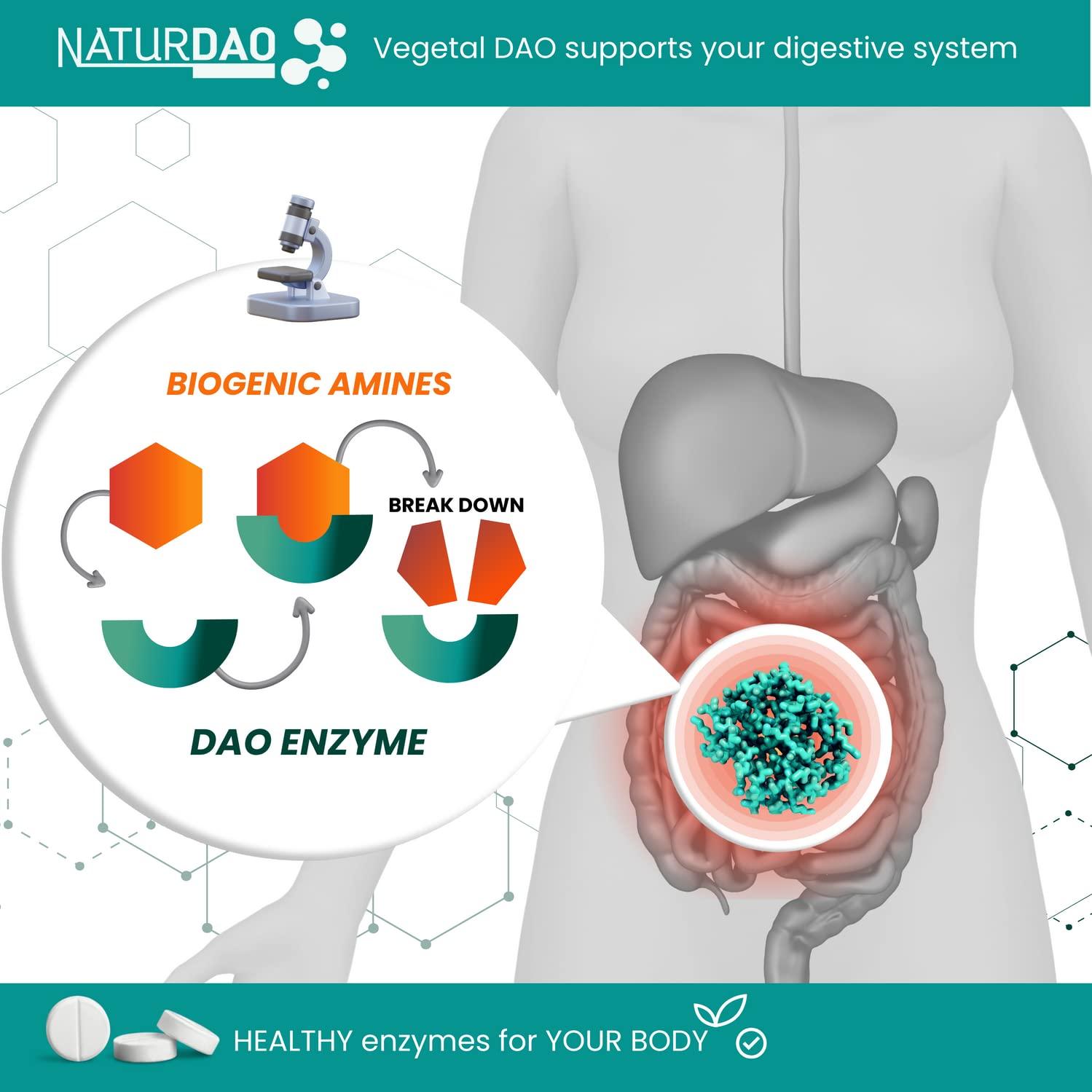 NATURDAOCOM LEGUMACTIVE NATURDAO - 1,000,000 HDU - DAO Enzyme Supplement - Histamine Block - Diamine Oxidase - Food Intolerance - 60 Tablets