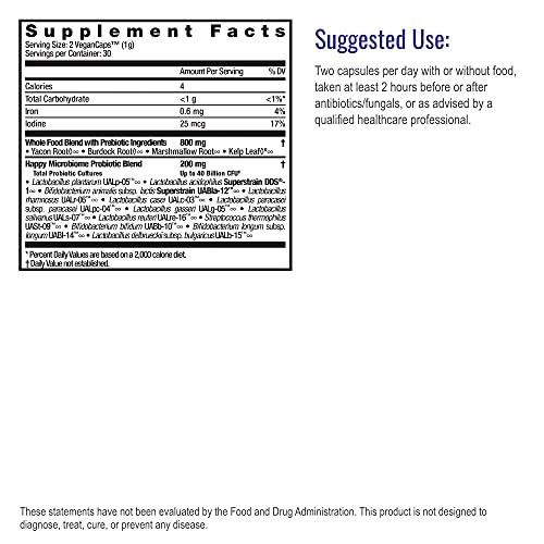 HEALTHFORCE SUPERFOODS Healthforce Superfood Gelatinized Maca - 8 Oz Powder