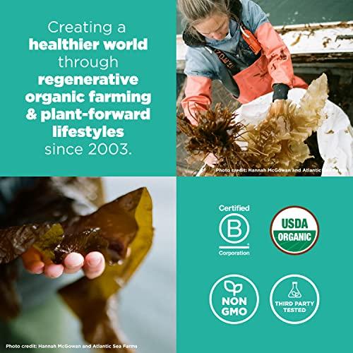 Navitas Organics Navitas Organics Organic Sea Veggie Blend Superfood Plus, 4 OZ