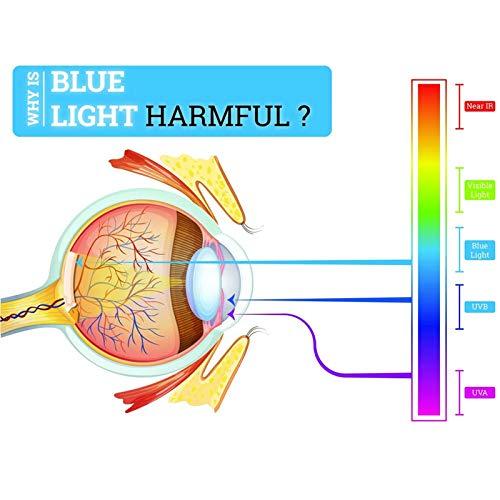willochra Safety Glasses with Readers 0~+400 for women Men Safety Blue Light Reading Glasses Goggles Eye Protection clear lens (black, 4.0)