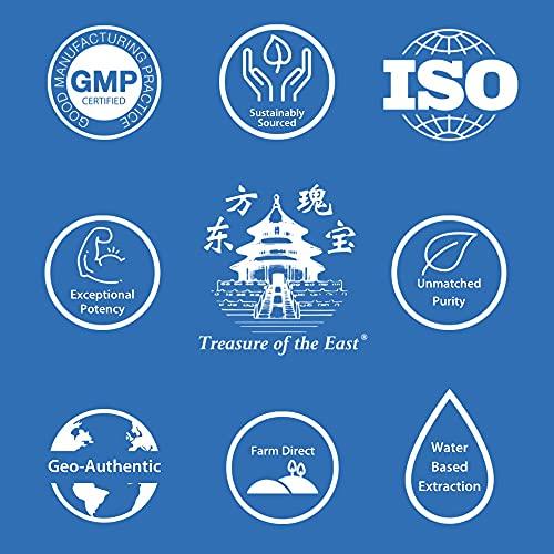 Treasure of the East Treasure of the East, Chinese Sage Herb - Shi Jian Chuan (5:1 Concentrated Herbal Extract Granules, 100g)