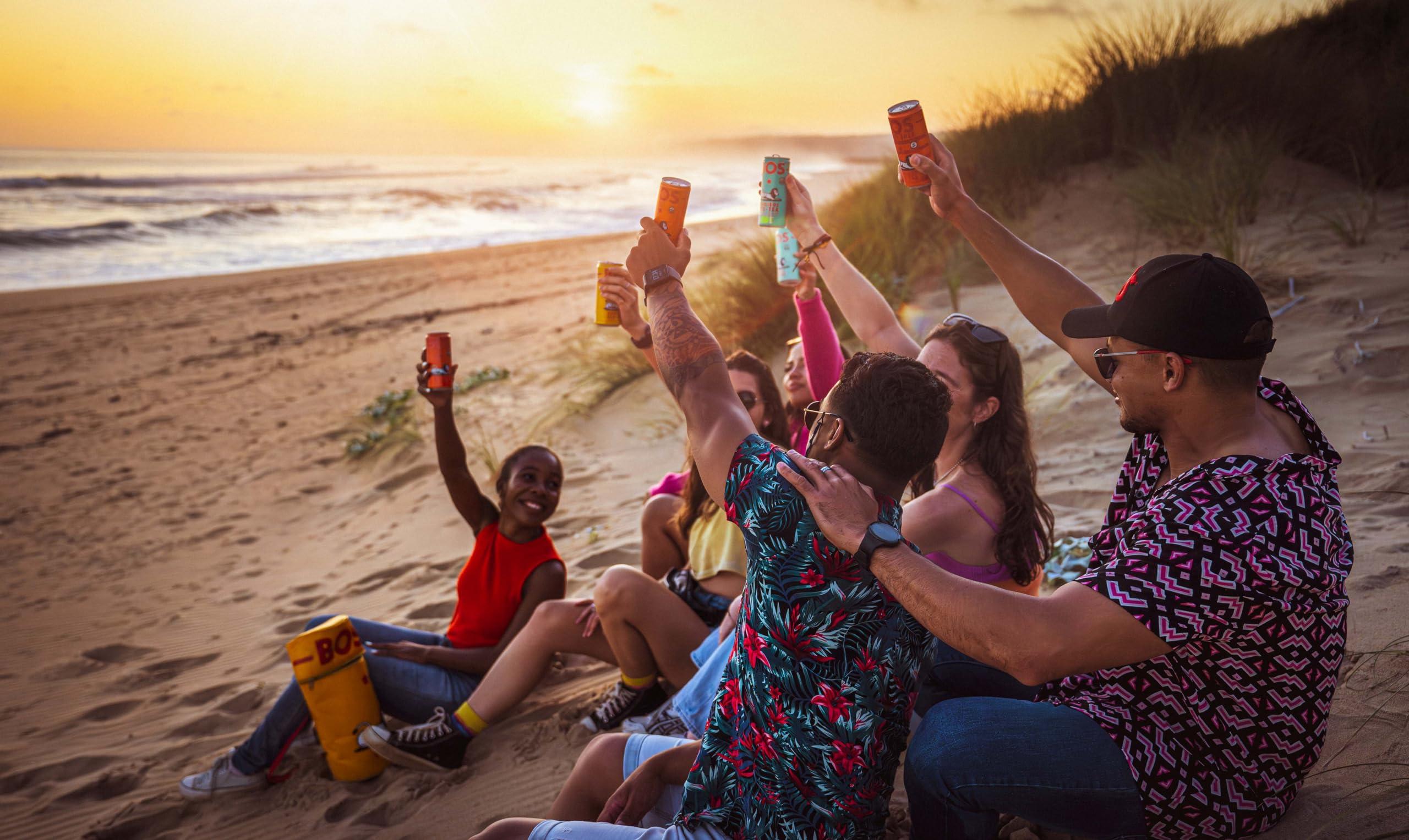 BOS BOS Rooibos Iced Tea Sugar Free Peach | 24x (6x 10.1 oz Cans) | Organic, Caffeine Free, Naturally Sweet, Antioxidant-Rich, Herbal, Red Rooibos Tea | From South Africa