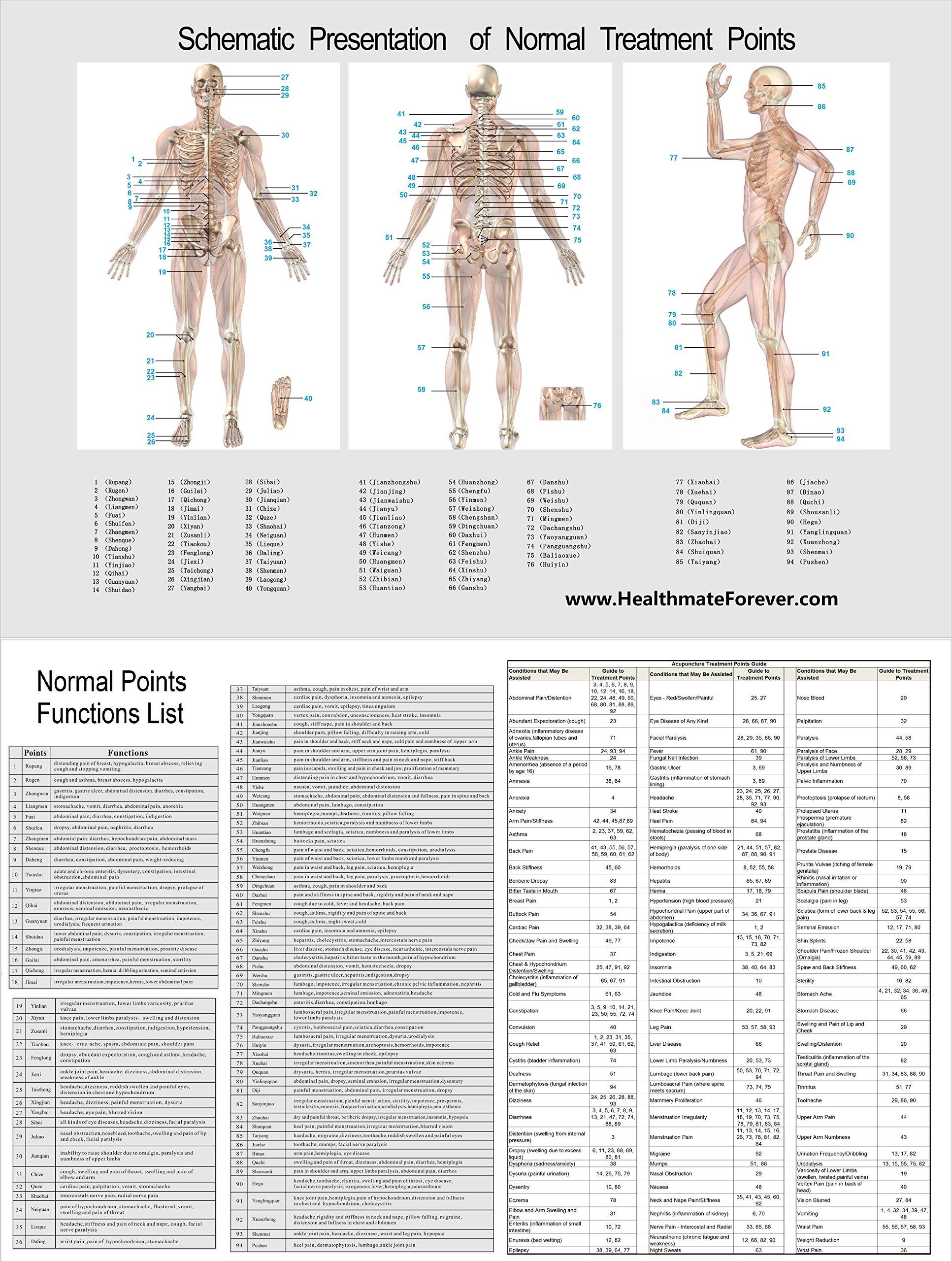 HealthmateForever HealthmateForever PM8IS Blue 8 Modes Body Electrical Back Pain Relief Massager + Belt | Back Pain Free | Provide Back Acupressure | Great Abdominal Muscle Exercise Belt HealthmateForever PM8 Blue