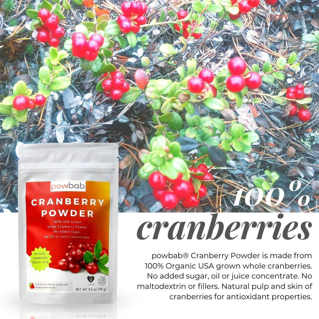 powbab powbab Cranberry Powder from 100% USA Grown Organic Dried Cranberries. No Added Sugar. Pure Fruit, Unsweetened Cranberry Supplement for Urinary Tract Health for Women. Not Freeze Dried. (3.5 Oz)