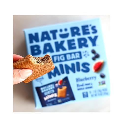Nature\'s Bakery Nature\'s Bakery Fig Bar Minis, Blueberry, Whole Grain, Vegan Friendly, Kosher, Non-GMO, 10 Ounce (Pack of 6)